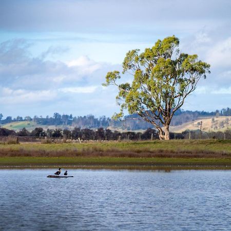 Blackwood Park Cottages Mole Creek 외부 사진