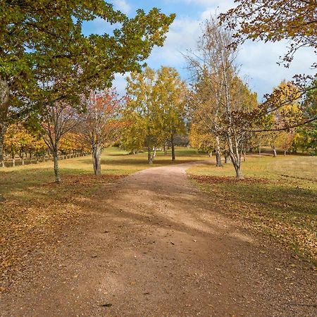 Blackwood Park Cottages Mole Creek 외부 사진