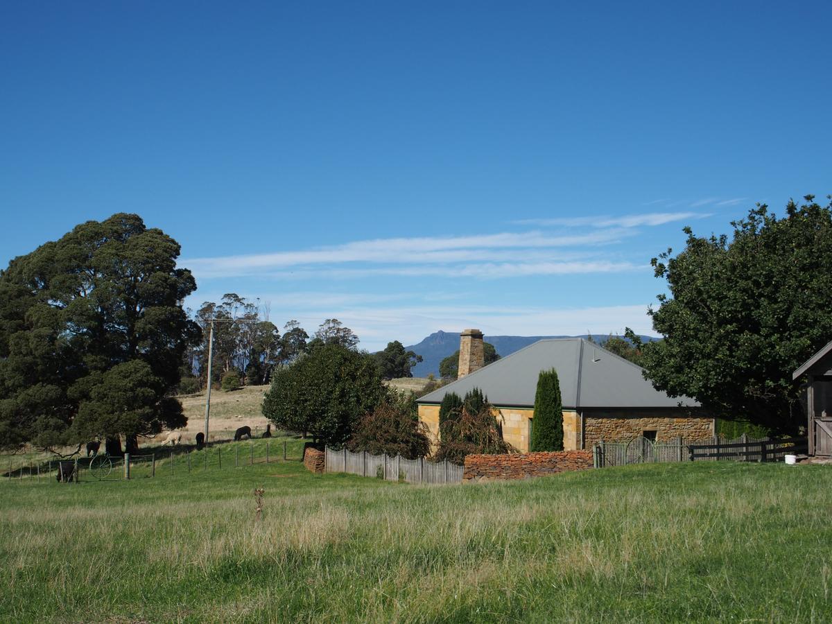Blackwood Park Cottages Mole Creek 외부 사진