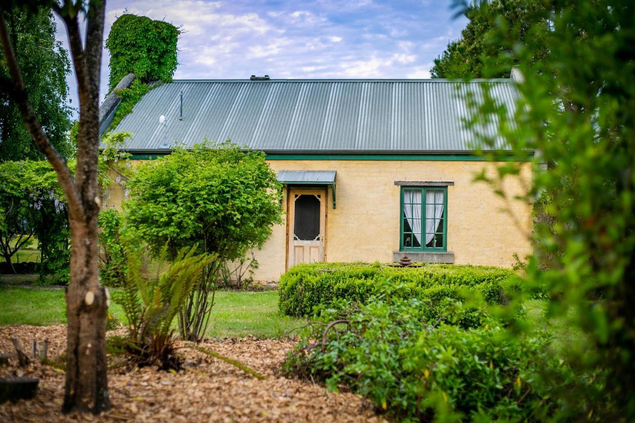 Blackwood Park Cottages Mole Creek 외부 사진